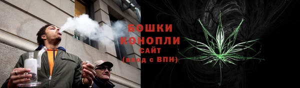 сатива Абаза