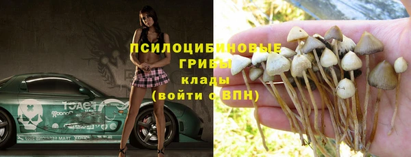 сатива Абаза