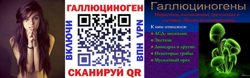 Галлюциногенные грибы Cubensis  кракен зеркало  Грозный 